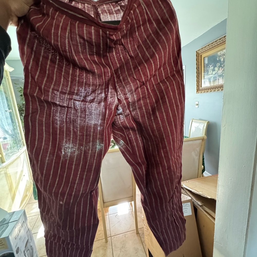 Casual Corner Burgundy Striped Men's Pants